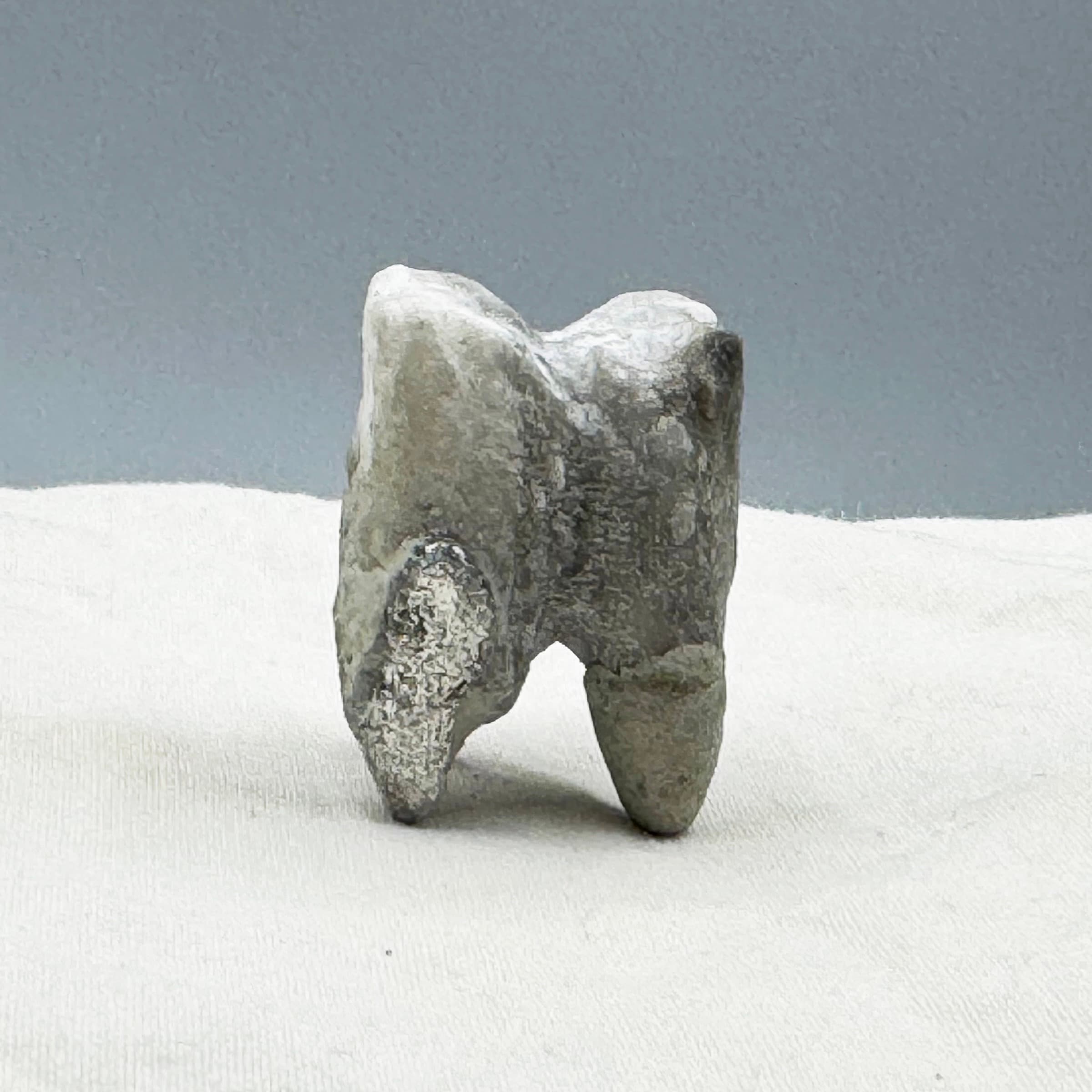 Tooth, Amulet No. 29.