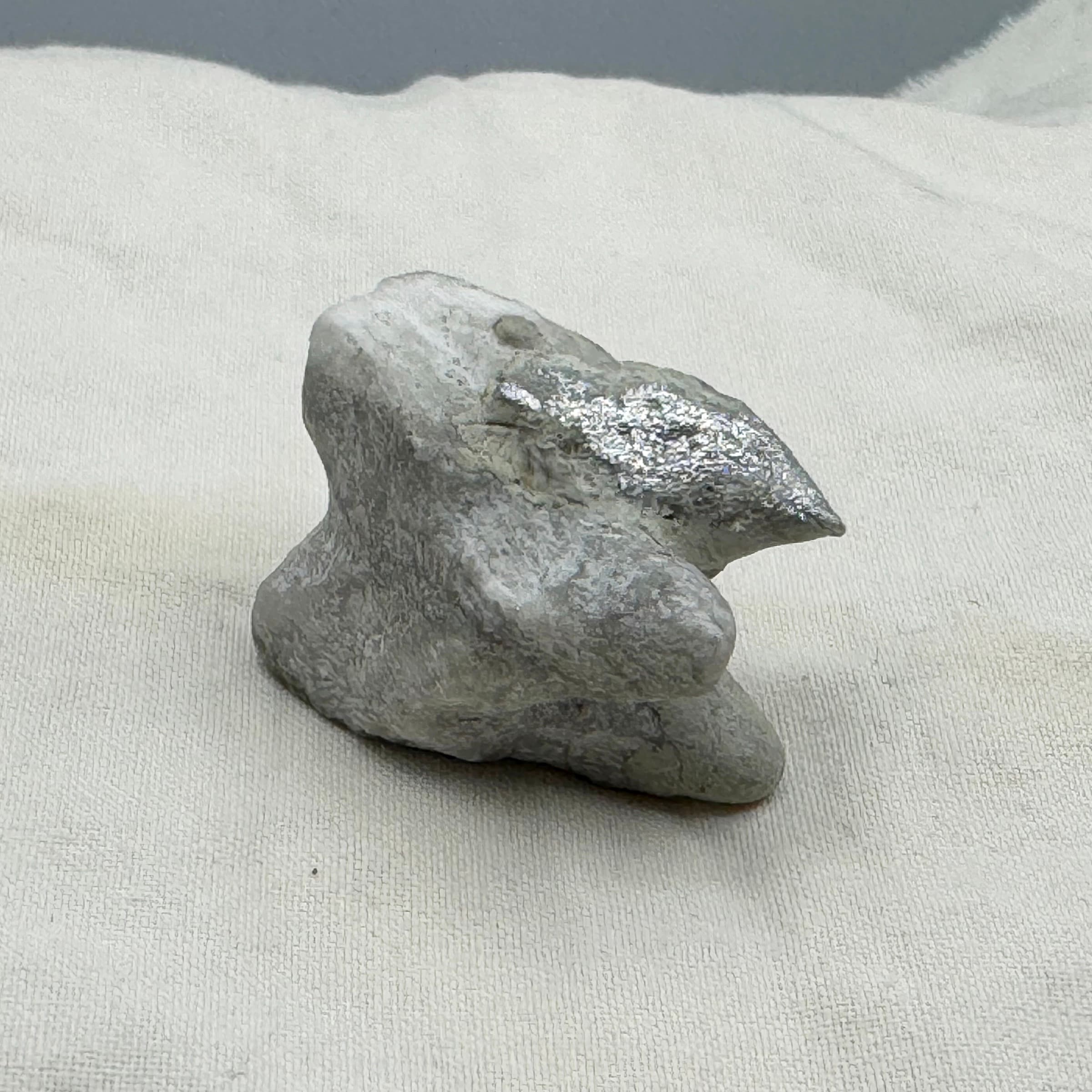 Tooth, Amulet No. 29.