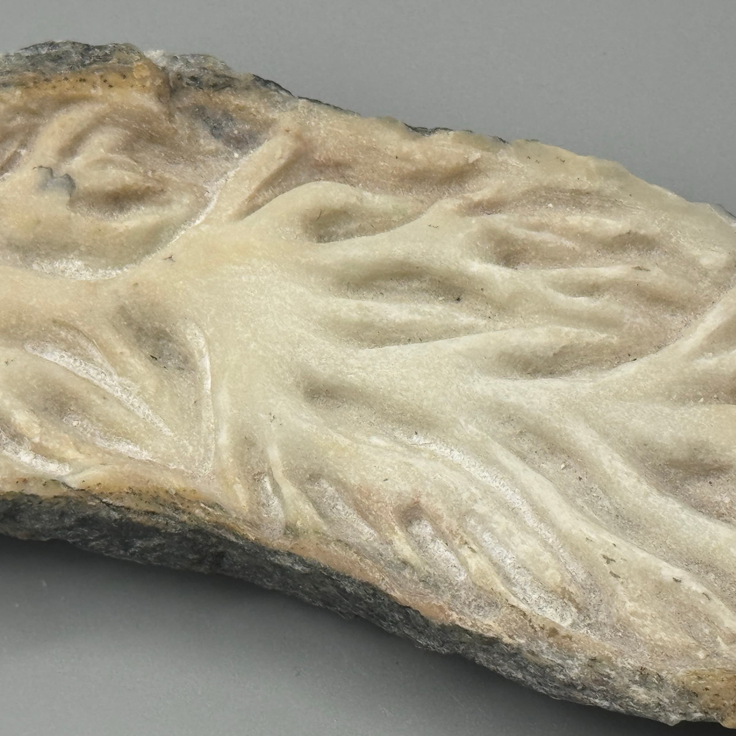 Aorta, Amulet No. 7.