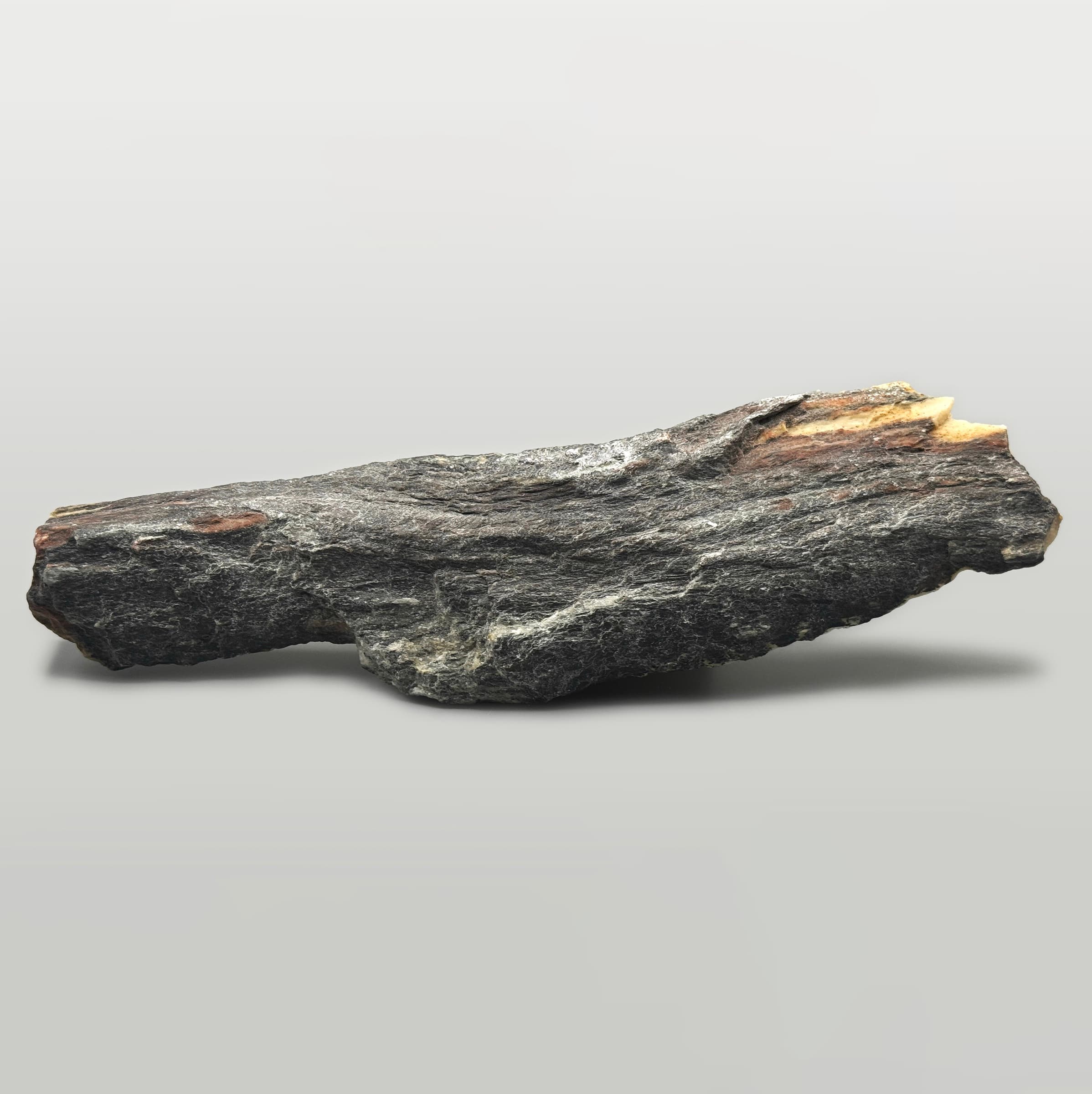 Aorta, Amulet No. 7.